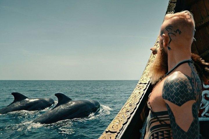 2-Hour Viking Cruise: Whales and Dolphin Watching