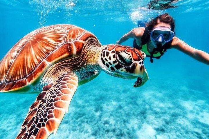From Hurghada to Abu Dabbab Swimming with Dugongs and Turtles