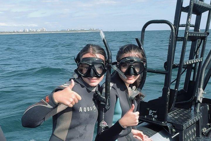 Shared Snorkel with Turtles and Whale Watch
