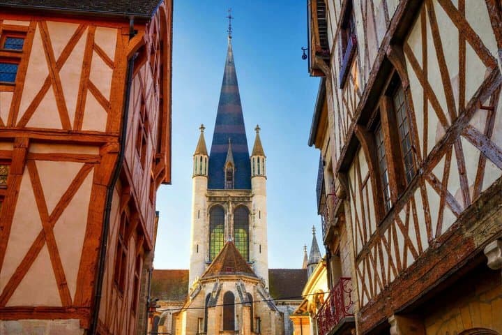 Hello Dijon: Private 2-Hour Intro City Walk with Local Guide