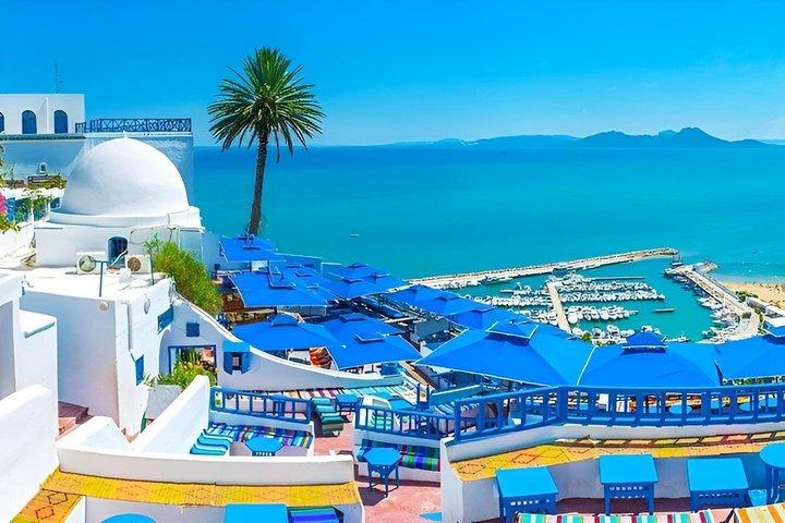 Tour Tunis, Carthage & Sidi Bou Said + Lunch & Tickets
