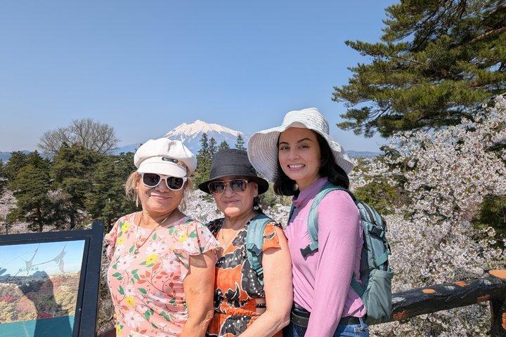 Private Cherry Blossom Tour in Hirosaki with a Local Guide
