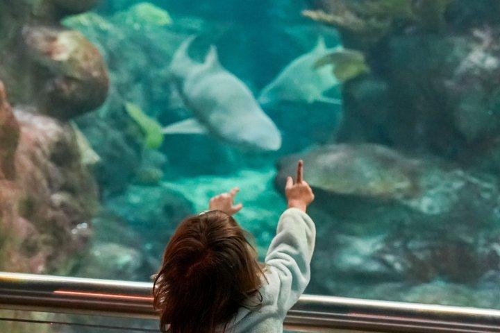 The Florida Aquarium in Tampa General Admission