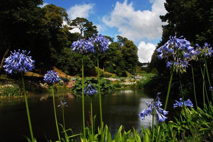 Cornish Gardens & Wonders – Private Shore Tour from Falmouth