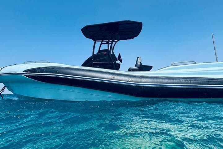 4 Hours Private Speed Boat To Dolphin House And White Island