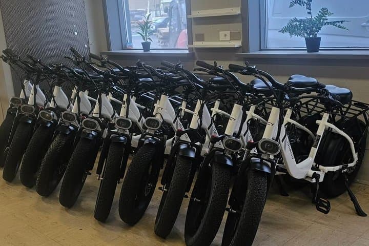Rent E-bike in Vestmannaeyjar