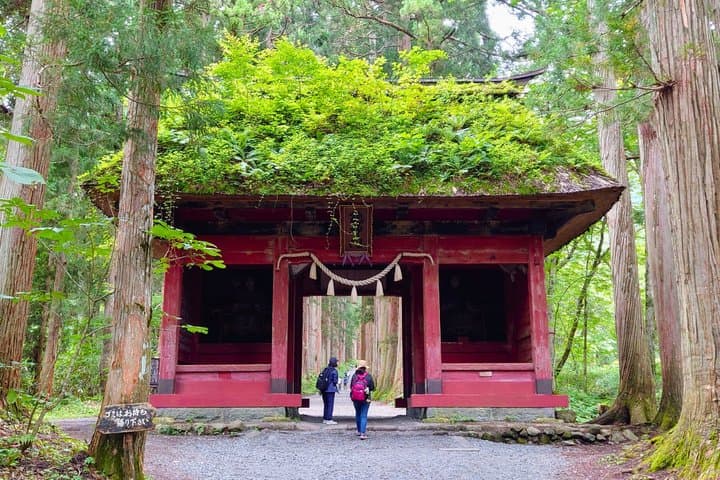 Full Day Snow Monkey Park and Togakushi Shrine Tour in Nagano