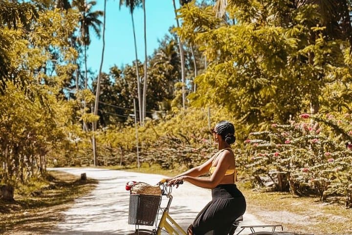 La Digue Boat and Bike Paradise Escape