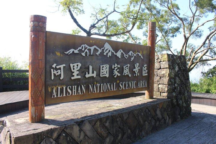 Taichung Alishan National Forest Full-Day Small Group Tour