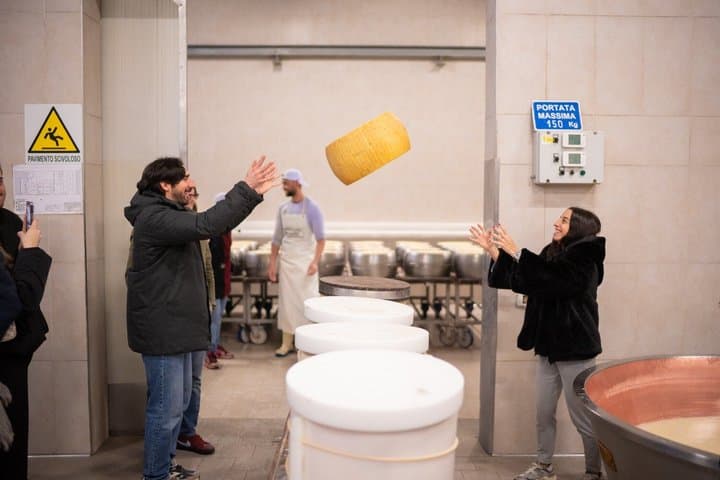 Bologna Food Valley Small Group Factory Tasting and Winery Lunch
