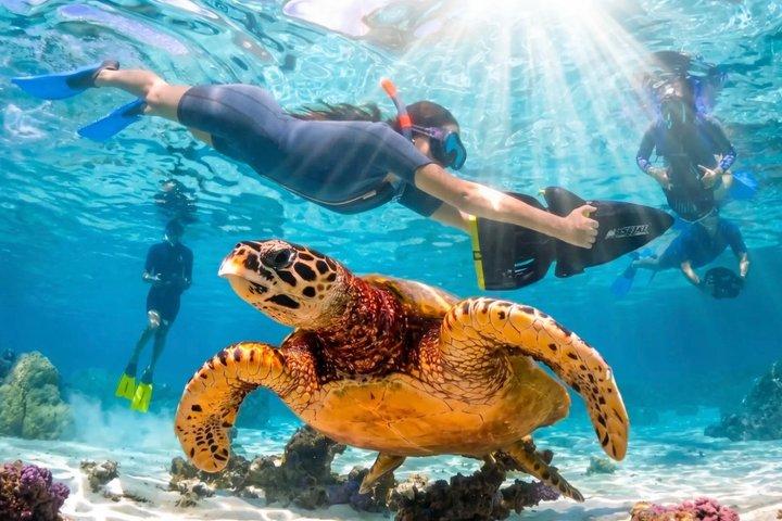 Sea Scooter Jet snorkeling "Moorea Reef Adventure"
