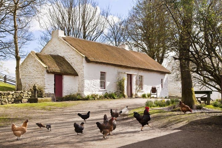 Ulster American Folk Park General Admission Ticket