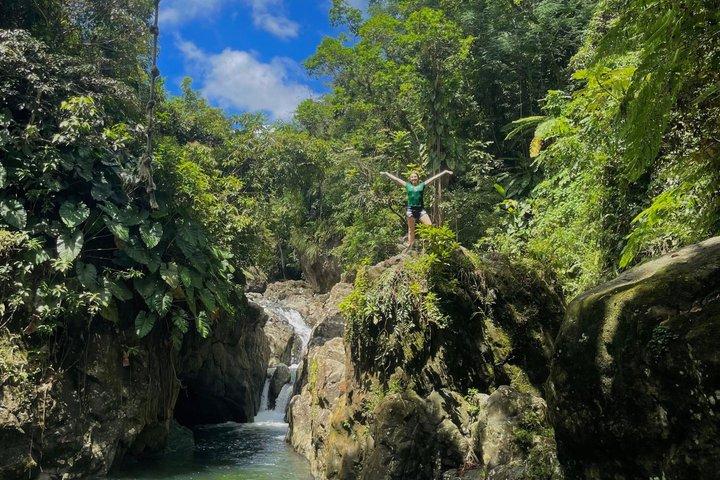 El Yunque Tour with Luquillo Lunch Stop and Transport: 6 ppl Max