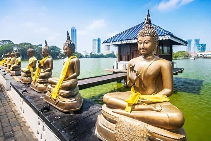 Colombo Airport Layover Tour City Highlights in 8 to 12 Hours