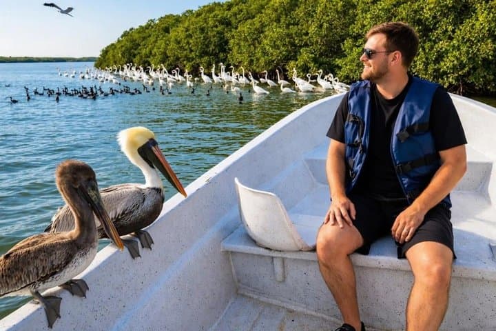 Rio Lagartos and Las Coloradas - Safari Natural Experience 4 hours