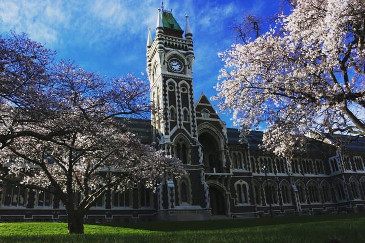 Cruise Ship Tour Dunedin City Highlights & Otago Peninsula Views