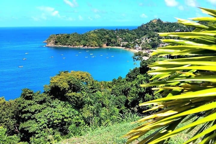 Caribbean Coast Highlights Hummingbirds, Waterfall and Beaches