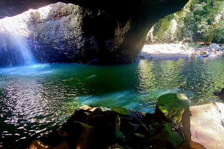 Gold Coast Hinterland Waterfalls & Rainforest Private Tour