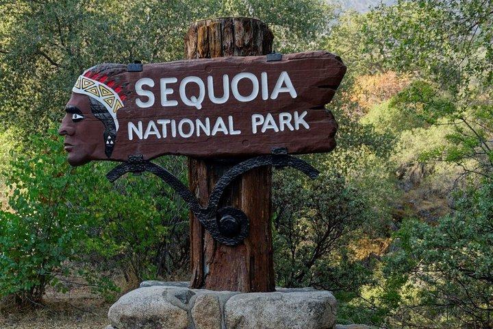 Sequoia National Park & Crystal Cave Day Tour from San Jose