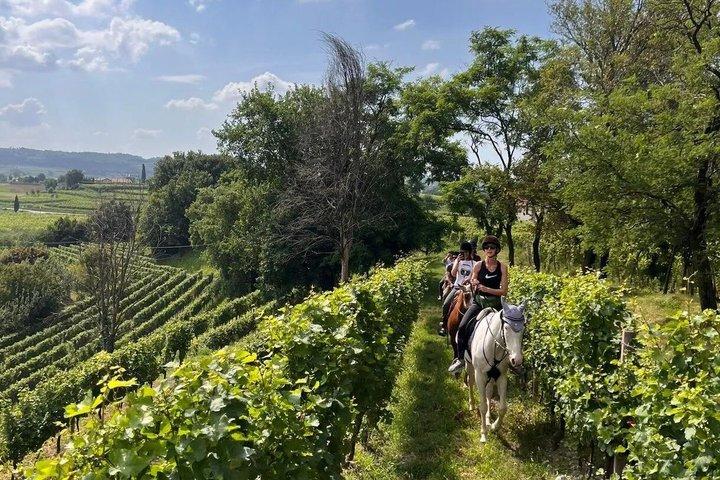 Horseback Ride Through the Vineyards of Franciacorta