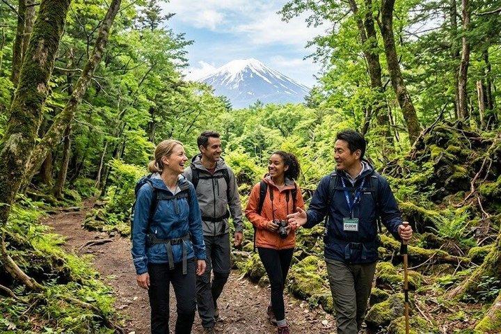 Fuji Forest Hiking 4 hr Tour with a Nature Guide with Transfer