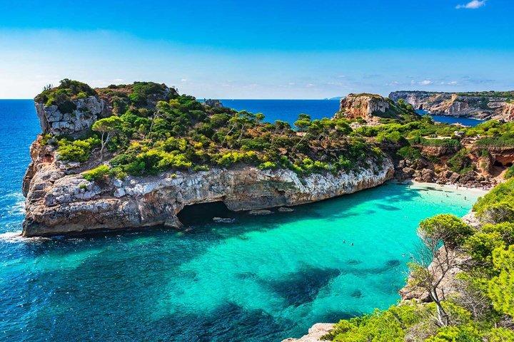 Best Mallorca Coves Tour: Paddle Surf, Snorkeling & Transport