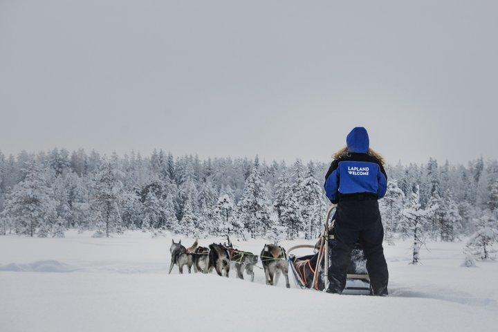 Husky Farm Visit with Husky Safari - Saariselkä