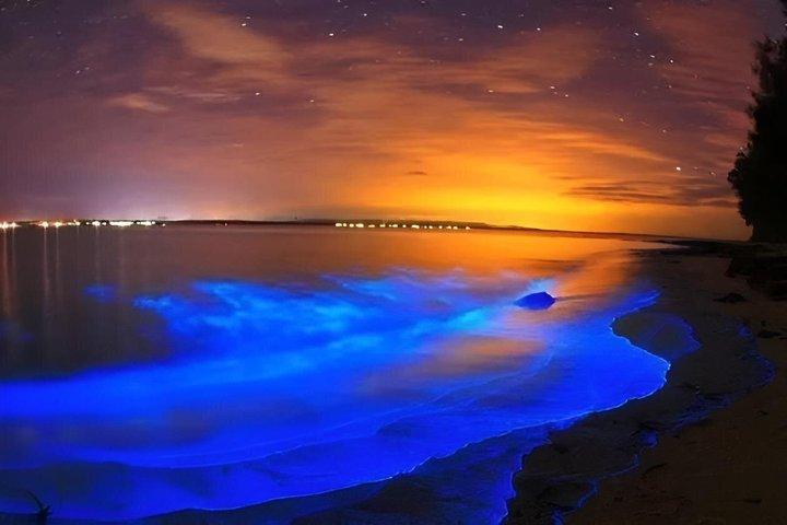 Bioluminescence Kayak Tour Near Orlando