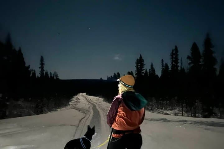 Kiruna: Private Snowshoeing & Sauna Experience
