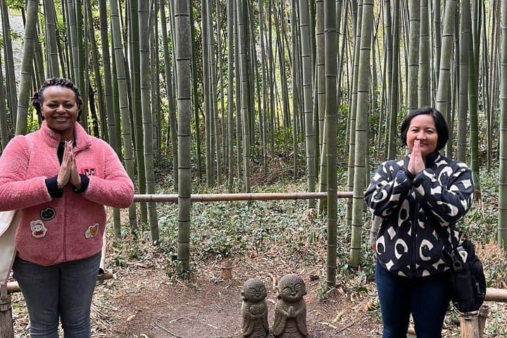 Arashiyama & Nara Highlights: One-Day Private Tour Adventure
