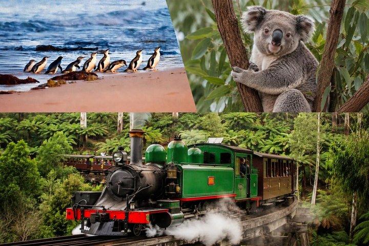Puffing Billy Phillip Island and Zoo Small Group Hotel Pick Up