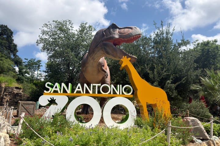 San Antonio Zoo General Admission Ticket