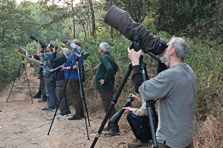 Private Birdwatching Tour in Thattekad with Expert Naturalist