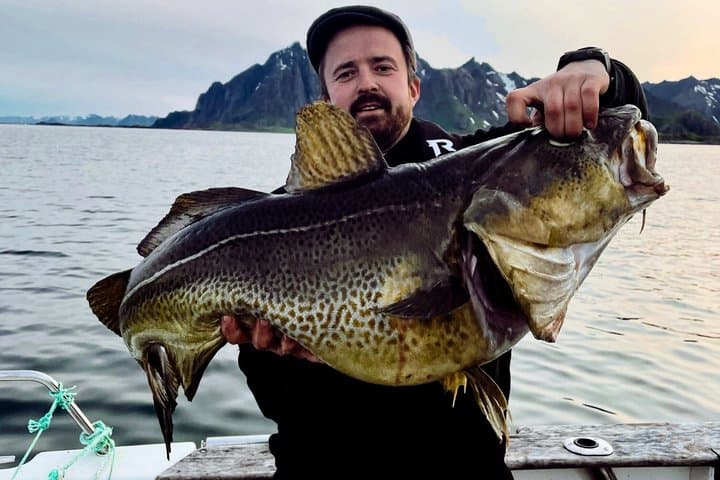 Authentic Sea Fishing Adventure in Lofoten