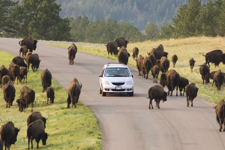Black Hills Rushmore to Crazy Horse Self Guided GPS Driving Tour