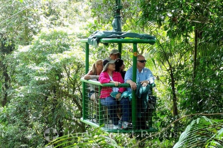 Puerto Limon Veragua Rainforest Tram and Tortuguero Canal Tour