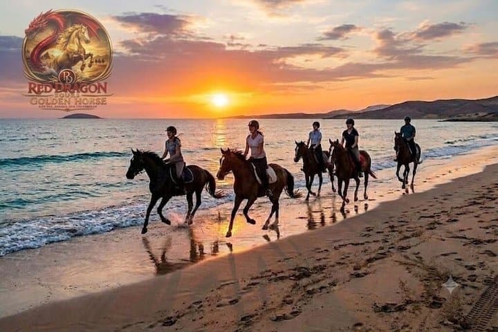 Horse Riding & Camel Beach,Desert, Swim,Sunrise & Sunset-Hurghada
