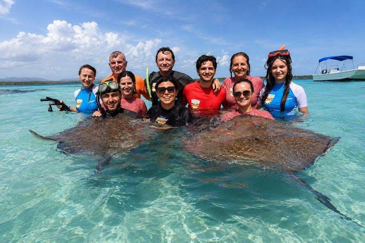 Antigua Island Tour & Stingray Encounter – Small Group Experience
