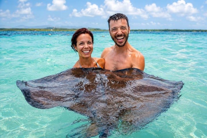 6h Bucket List Tour: Stingray City, Beach & Local Lunch