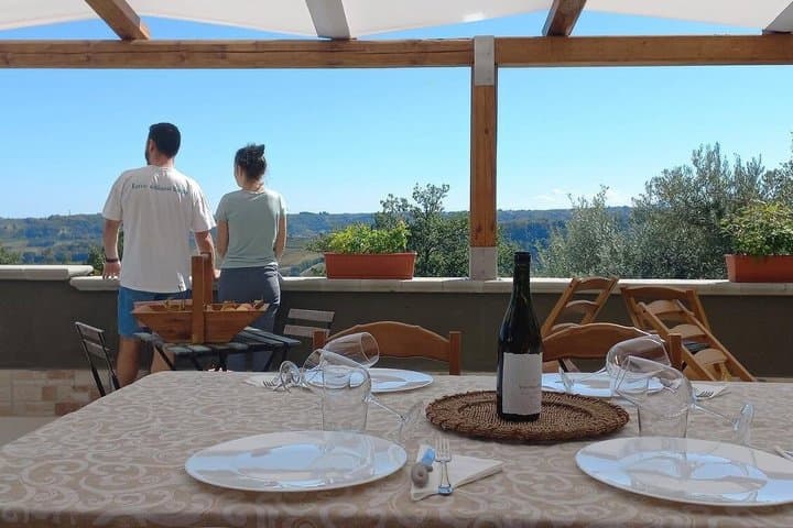 Discover Abruzzo: Winery Tour and Wine Tasting with Meal