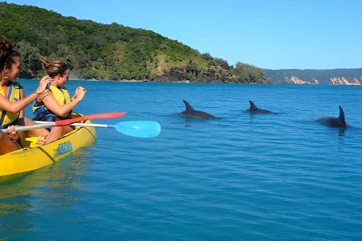 Rainbow Beach: Dolphin & Wildlife Ocean Kayak & Beach 4WD Tour