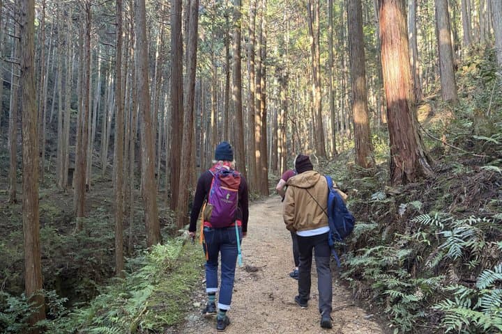 Shinrin Yoku Forest Bathing in Yoshino