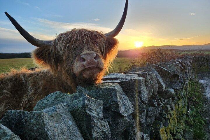 Private Tour of the Scottish Highlands from Edinburgh