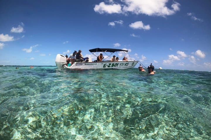Caye Caulker Marine Reserve and South Channel Half Day Snorkeling