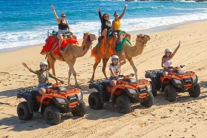 Cabo Camel Safari & FREE Beach ATV Adventure and Tequila Tasting