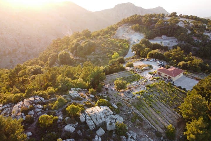 Classic Tour & Natural Wine Tasting (Private)