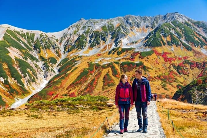 Kanazawa/Nagano: Tateyama Kurobe Snow Wall Day Tour