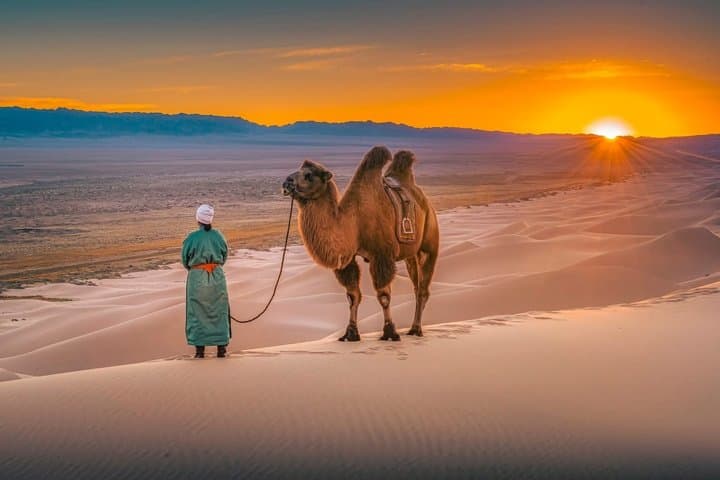 Private 2 day Semi-Gobi Desert & Khustai National Park Tour