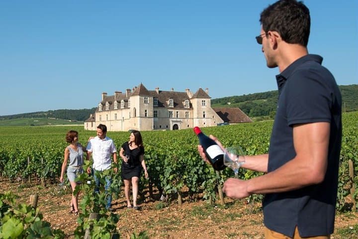 Dijon Wine Tour Côte de Nuits and Côte de Beaune Vineyards