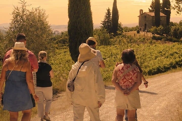 Siena: Chianti Sunset Tour with Dinner & Wine Tasting
